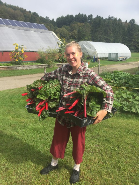 Appolonia Kale Harvest